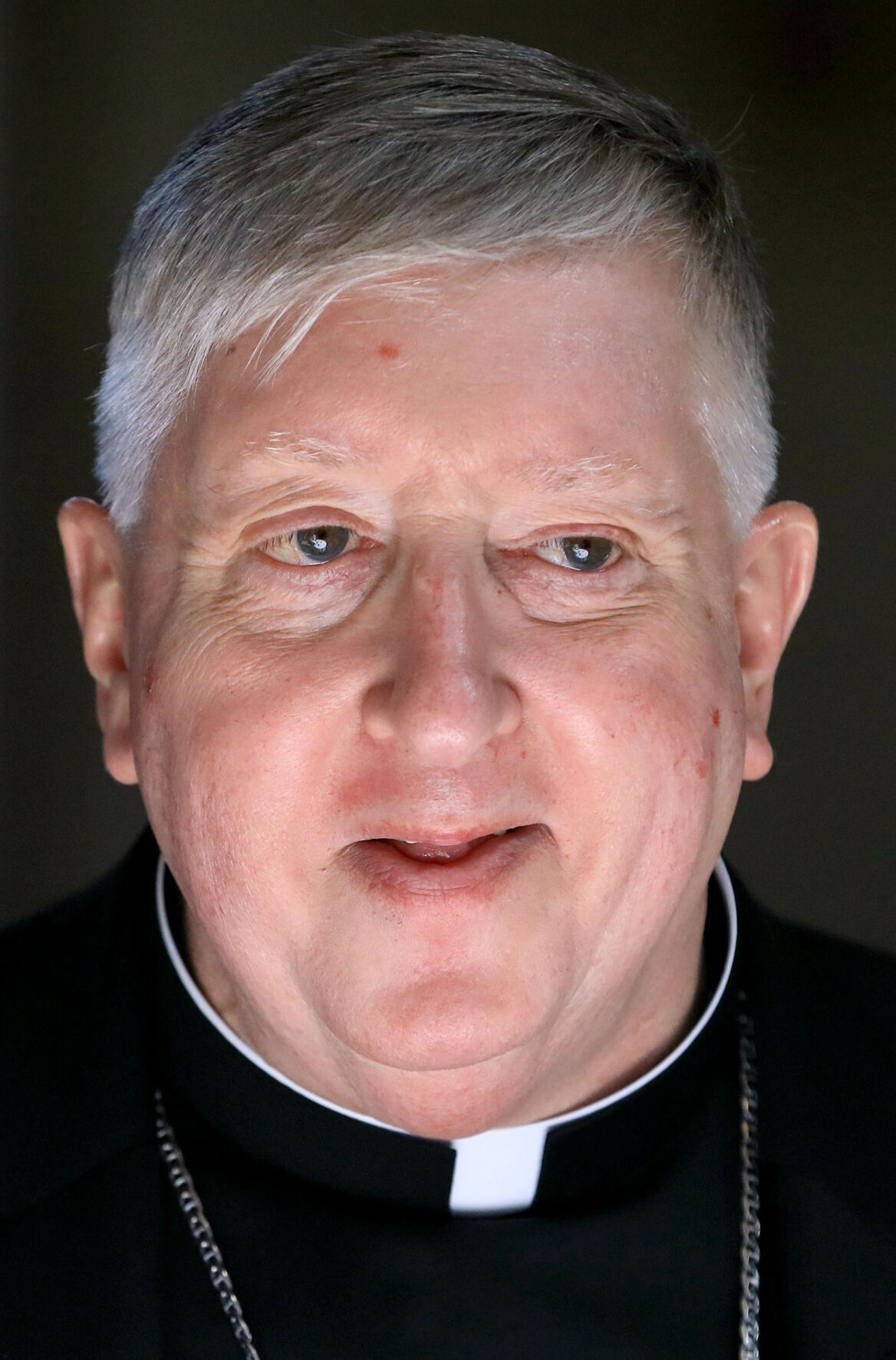 Archbishop Mitchell Rozanski